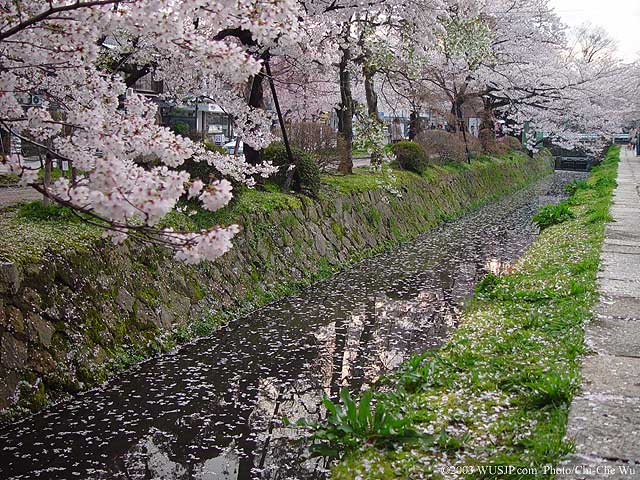 大野机械